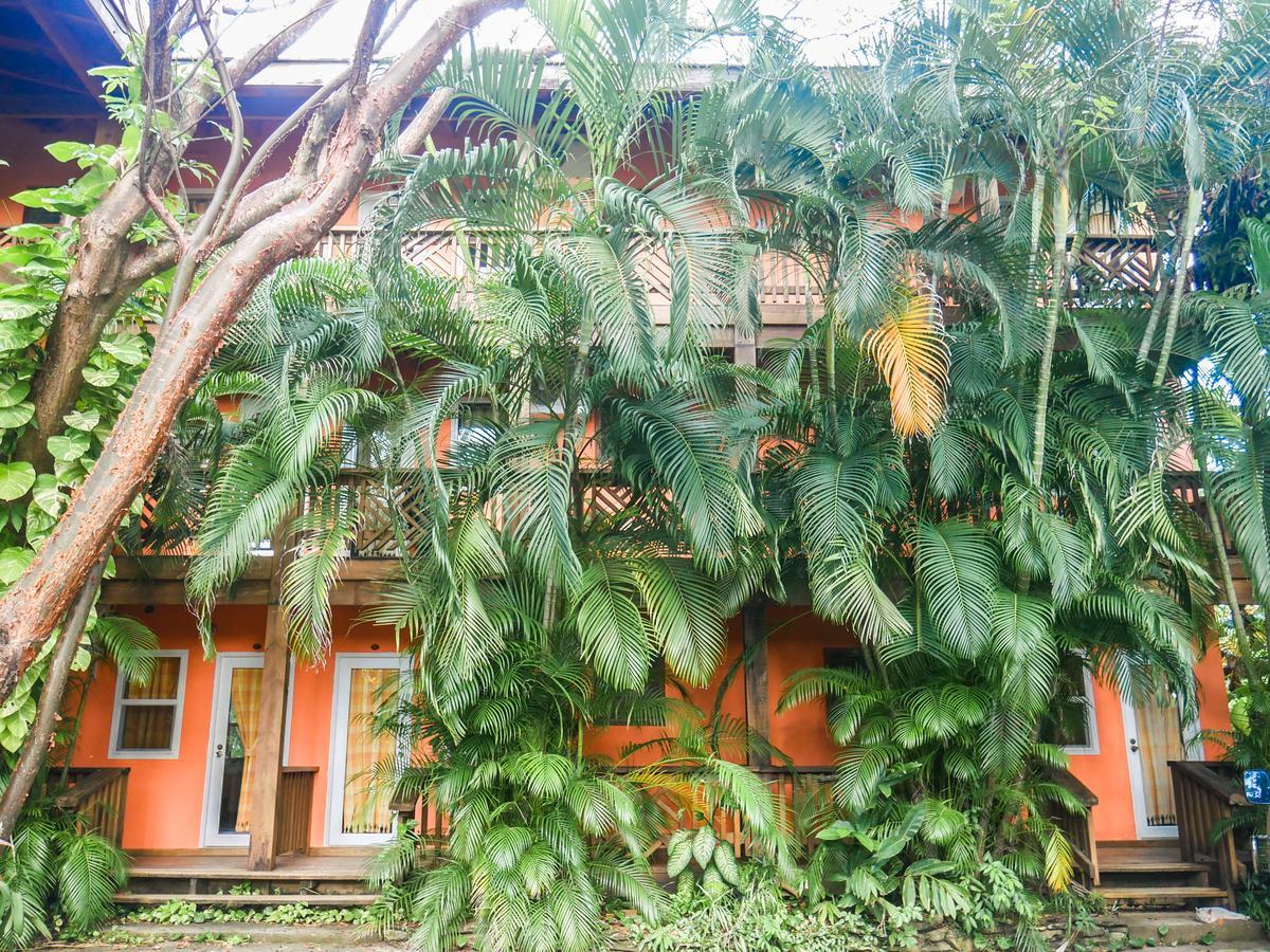 Hotel Posada Las Orquideas,West End Exterior photo