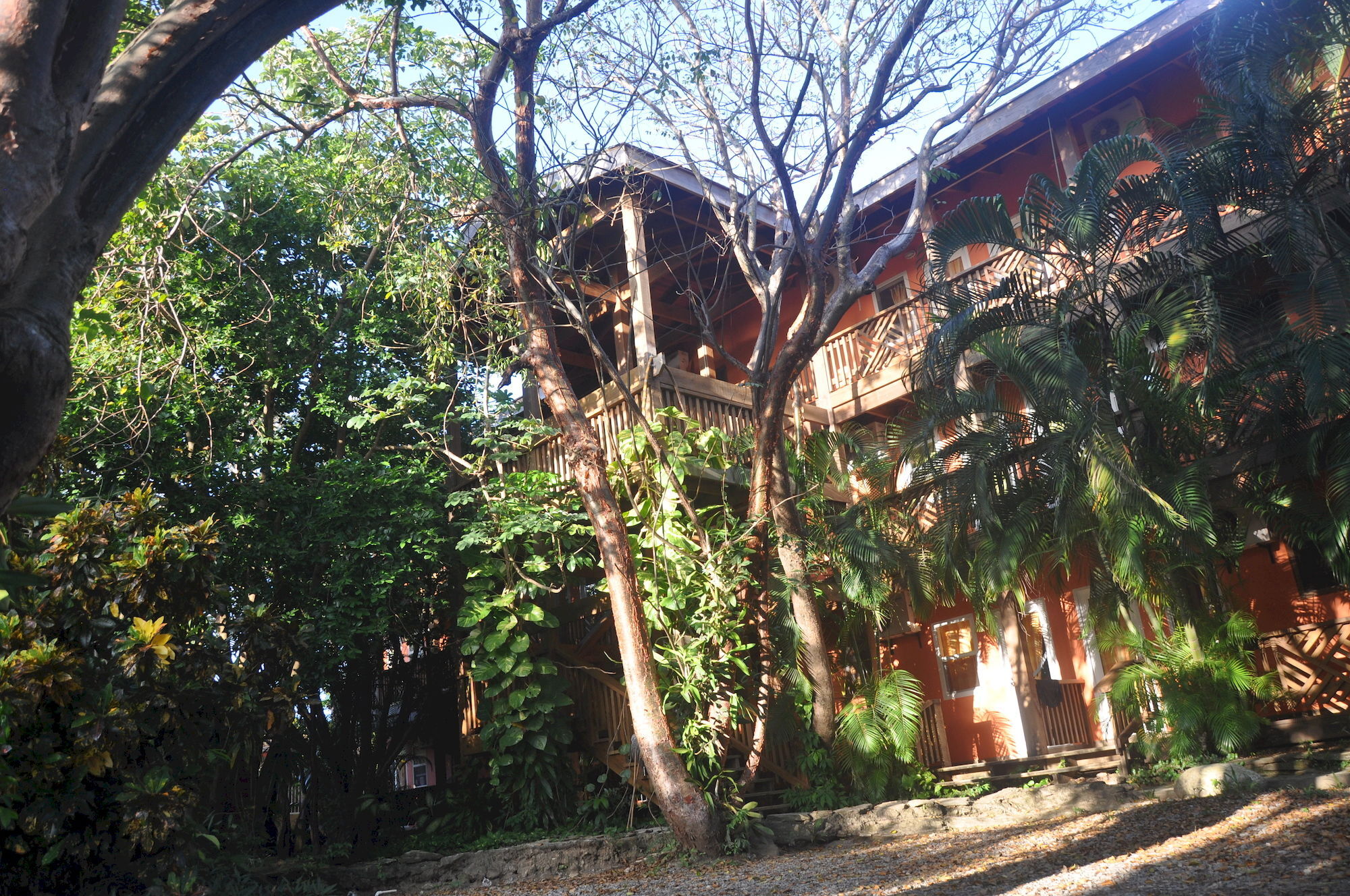 Hotel Posada Las Orquideas,West End Exterior photo