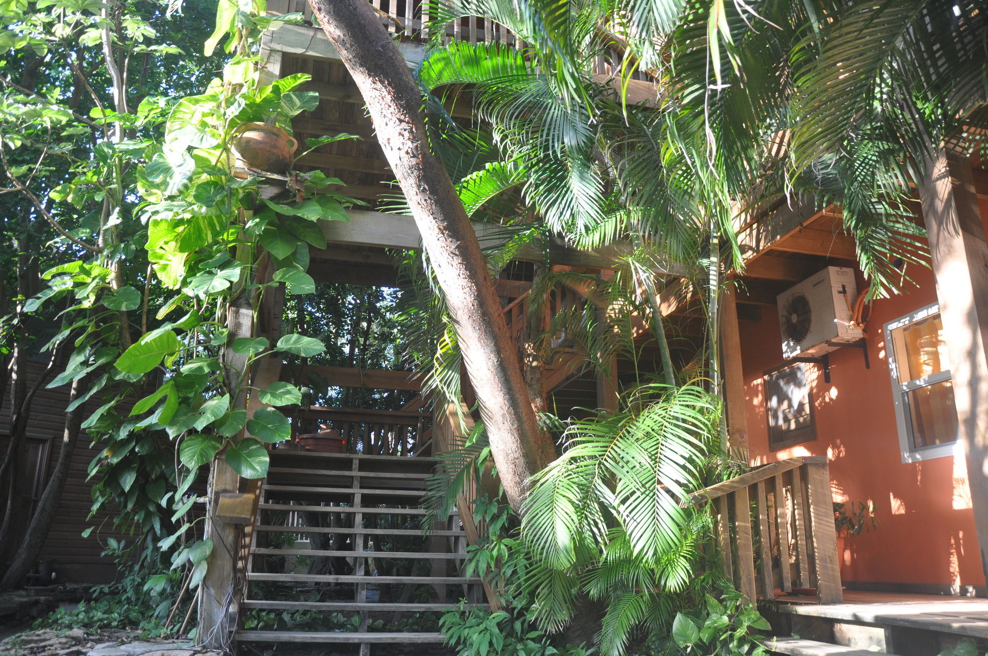 Hotel Posada Las Orquideas,West End Exterior photo