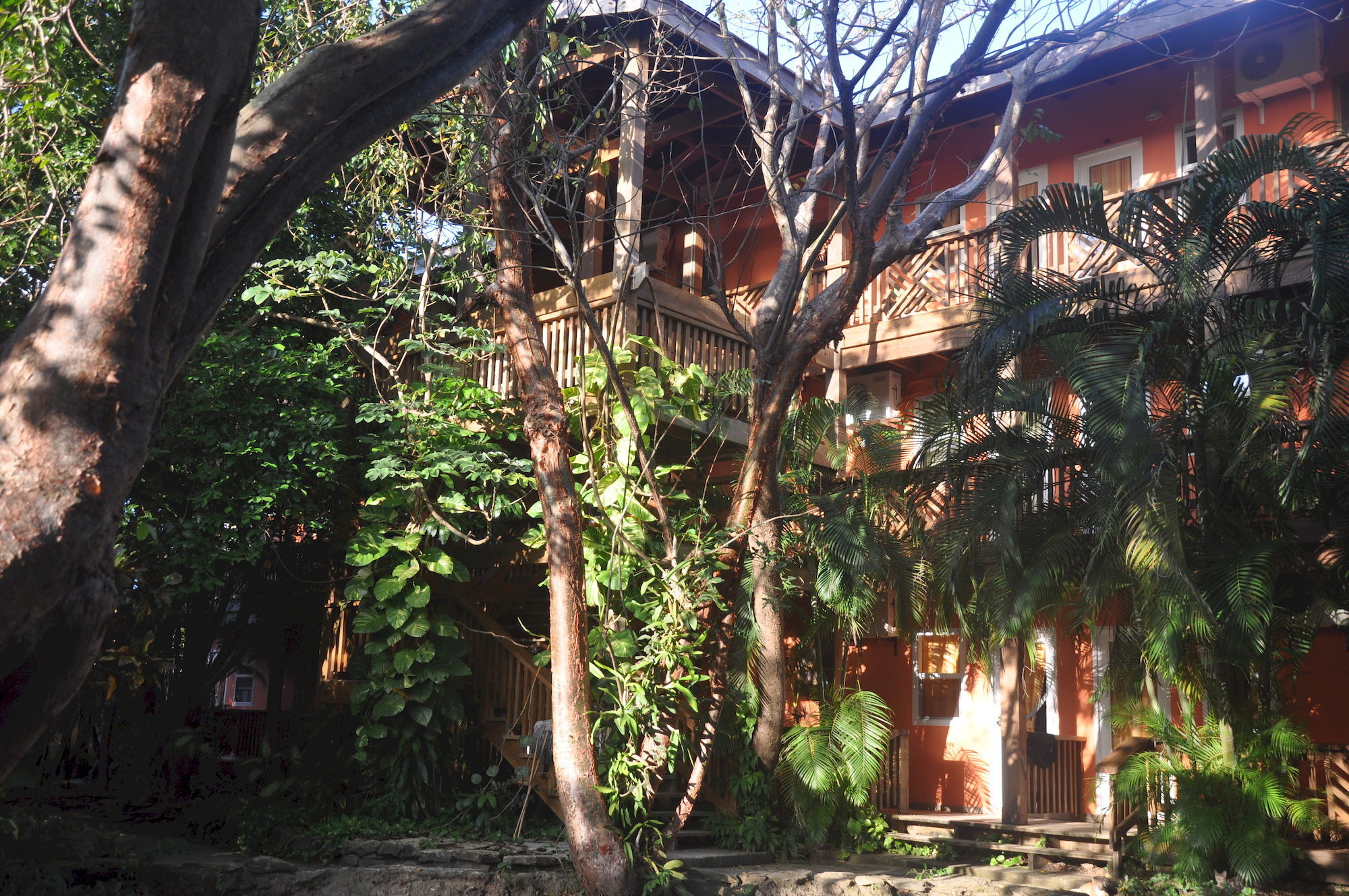Hotel Posada Las Orquideas,West End Exterior photo